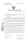 Vista preliminar de documento R.D. N° 101-2015 pdf 
