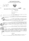 Vista preliminar de documento RDR 2628-2024