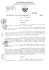 Vista preliminar de documento RDR 2630-2024