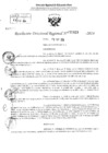 Vista preliminar de documento RDR 2633-2024