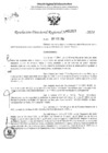 Vista preliminar de documento RDR 1313-2024