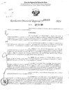 Vista preliminar de documento RDR 1316-2024