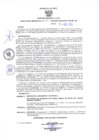 Vista preliminar de documento RESOLUCIÓN DIRECTORAL N° 0494 - 2024 - HNSLMP