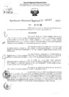 Vista preliminar de documento RDR 1317-2024