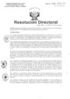 Vista preliminar de documento R.D. N° 037-2015 pdf 