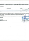 Vista preliminar de documento Anexo N° 6 - Aprobación de Modificaciones al Cuadro Multianual de Necesidades N° 00000350