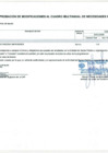 Vista preliminar de documento Anexo N° 6 - Aprobación de Modificaciones al Cuadro Multianual de Necesidades N° 00000358