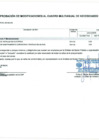 Vista preliminar de documento Anexo N° 6 - Aprobación de Modificaciones al Cuadro Multianual de Necesidades N° 00000369