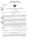Vista preliminar de documento RDR 3515-2024