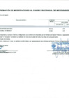 Vista preliminar de documento Anexo N° 6 - Aprobación de Modificaciones al Cuadro Multianual de Necesidades N° 00000373