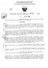 Vista preliminar de documento RDR 3521-2024