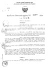 Vista preliminar de documento RDR 3527-2024