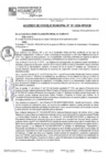 Vista preliminar de documento ACM24N191