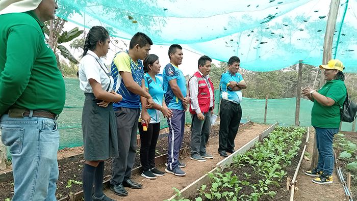 HUANUCO BIOHUERTO 4