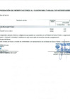 Vista preliminar de documento Anexo N° 6 - Aprobación de Modificaciones al Cuadro Multianual de Necesidades N° 00000379