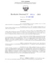 Vista preliminar de documento RD N° 554 