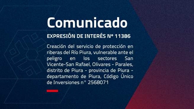 CONTRATACIÓN DEL SERVICIO DE CONSULTORÍA DE OBRA PARA LA ELABORACIÓN DEL EXPEDIENTE 
TÉCNICO DEL PROYECTO: “CREACION DEL SERVICIO DE PROTECCIÓN EN RIBERAS DEL RÍO PIURA, 
VULNERABLE ANTE EL PELIGRO EN LOS SECTORES SAN VICENTE-SAN RAFAEL, OLIVARES - PARALES, 
DISTRITO DE PIURA - PROVINCIA DE PIURA - DEPARTAMENTO DE PIURA” CÓDIGO ÚNICO DE 
INVERSIONES N° 2568071
