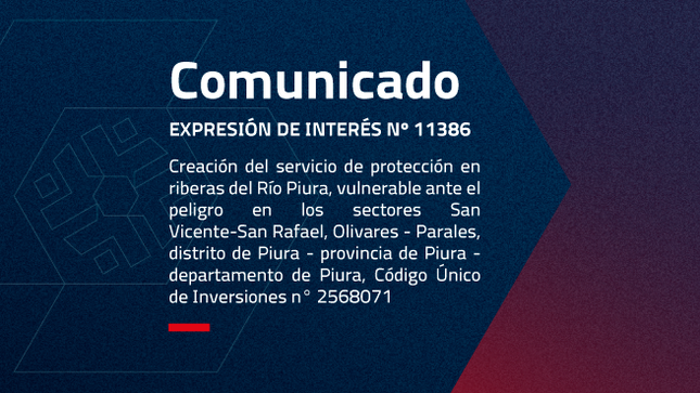 CONTRATACIÓN DEL SERVICIO DE CONSULTORÍA DE OBRA PARA LA ELABORACIÓN DEL EXPEDIENTE 
TÉCNICO DEL PROYECTO: “CREACION DEL SERVICIO DE PROTECCIÓN EN RIBERAS DEL RÍO PIURA, 
VULNERABLE ANTE EL PELIGRO EN LOS SECTORES SAN VICENTE-SAN RAFAEL, OLIVARES - PARALES, 
DISTRITO DE PIURA - PROVINCIA DE PIURA - DEPARTAMENTO DE PIURA” CÓDIGO ÚNICO DE 
INVERSIONES N° 2568071
