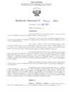 Vista preliminar de documento RD N° 555