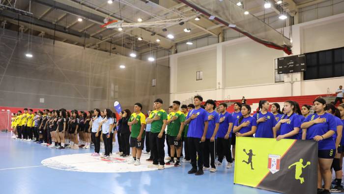 Handball