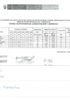 Vista preliminar de documento Resultado Final 