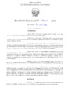 Vista preliminar de documento RD N° 577 