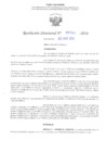 Vista preliminar de documento RD N° 582 