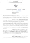 Vista preliminar de documento RD N° 583