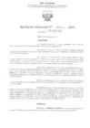 Vista preliminar de documento RD N° 584