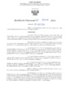 Vista preliminar de documento RD N° 586
