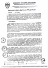 Vista preliminar de documento RGR0386-2024-GRI