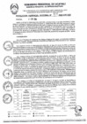 Vista preliminar de documento RGR0400-2024-GRI