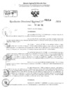Vista preliminar de documento RDR 2214-2024