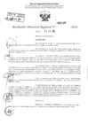 Vista preliminar de documento RDR 2216-2024