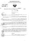 Vista preliminar de documento RDR 2217-2024