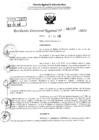 Vista preliminar de documento RDR 2218-2024
