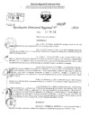Vista preliminar de documento RDR 2219-2024