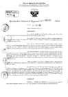 Vista preliminar de documento RDR 2221-2024