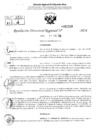 Vista preliminar de documento RDR 2224-2024