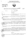 Vista preliminar de documento RDR 2228-2024