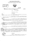 Vista preliminar de documento RDR 2229-2024