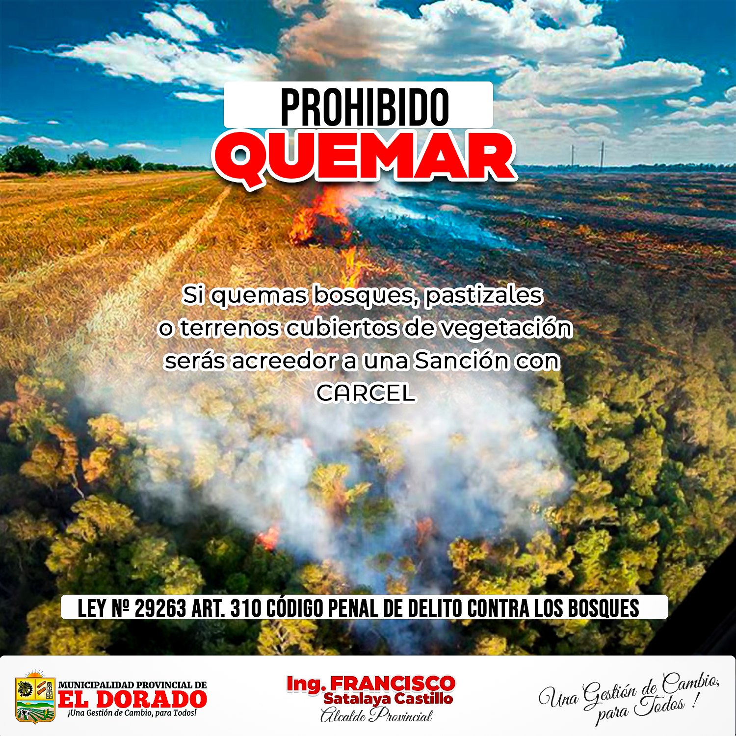 fotografia