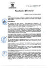 Vista preliminar de documento RD Nº 202-2024-DGINSM-HD-HN