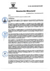 Vista preliminar de documento RD Nº 203-2024-DGINSM-HD-HN