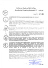 Vista preliminar de documento Resolución Ejecutiva Regional N°100-2024