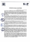 Vista preliminar de documento D.A N° 10