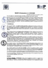 Vista preliminar de documento D.A N° 11