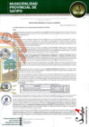 Vista preliminar de documento RESOLUCION GERENCIAL N° 00796-2024-MPS-GM