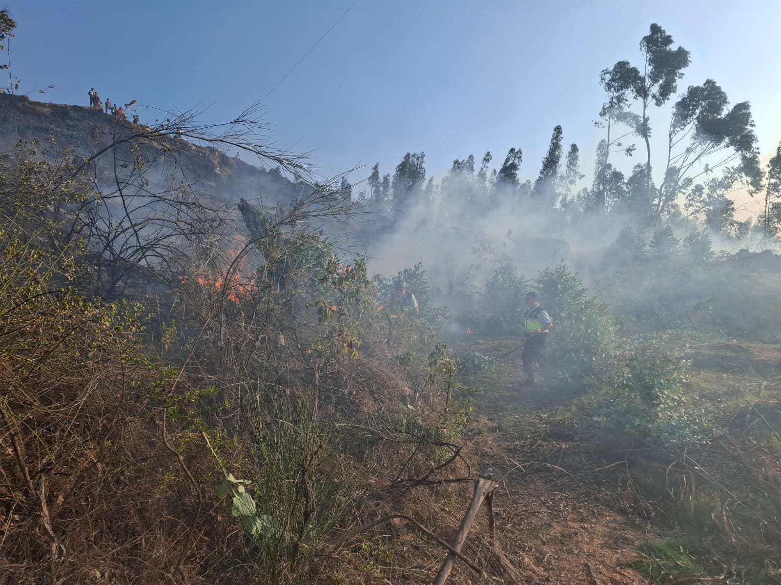 Serenazgo en acción en Chinshicucho