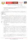 Vista preliminar de documento ordenanza_muni_29_2017_06102017